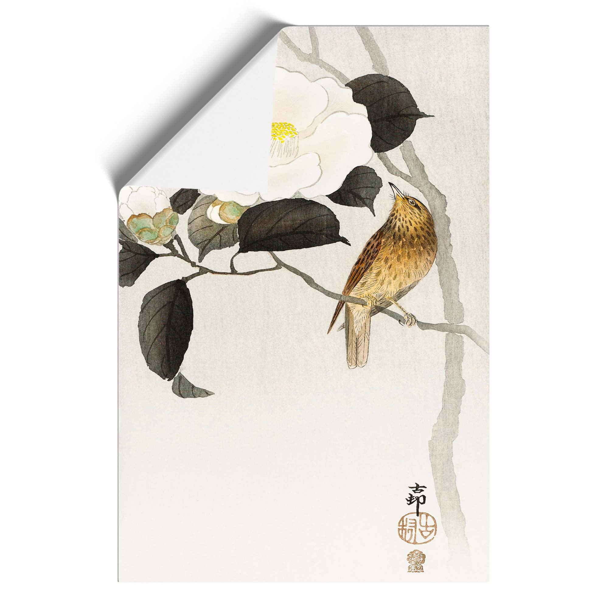 Songbird & Flowering Camellia Framed Canvas Wall Art Print Poster Picture - Picture 9 of 9