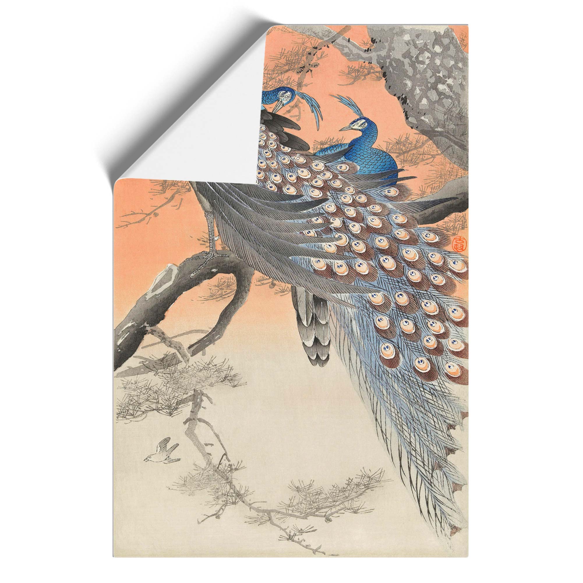 Two Peacocks Flowers Ohara Koson Framed Wall Art Print Picture Ready to ...
