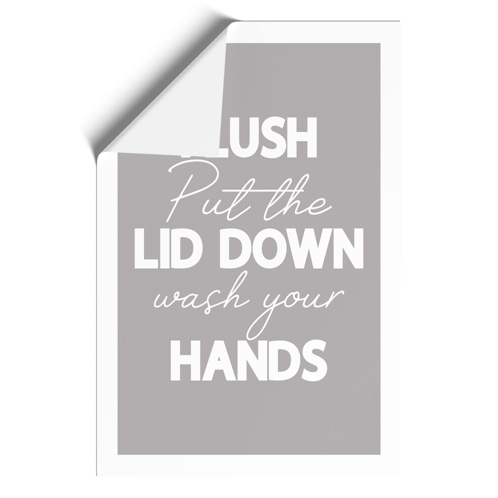 Flush Put The Lid Down Wash Your Hands Typography Wall Art Print Framed Picture - Picture 9 of 9