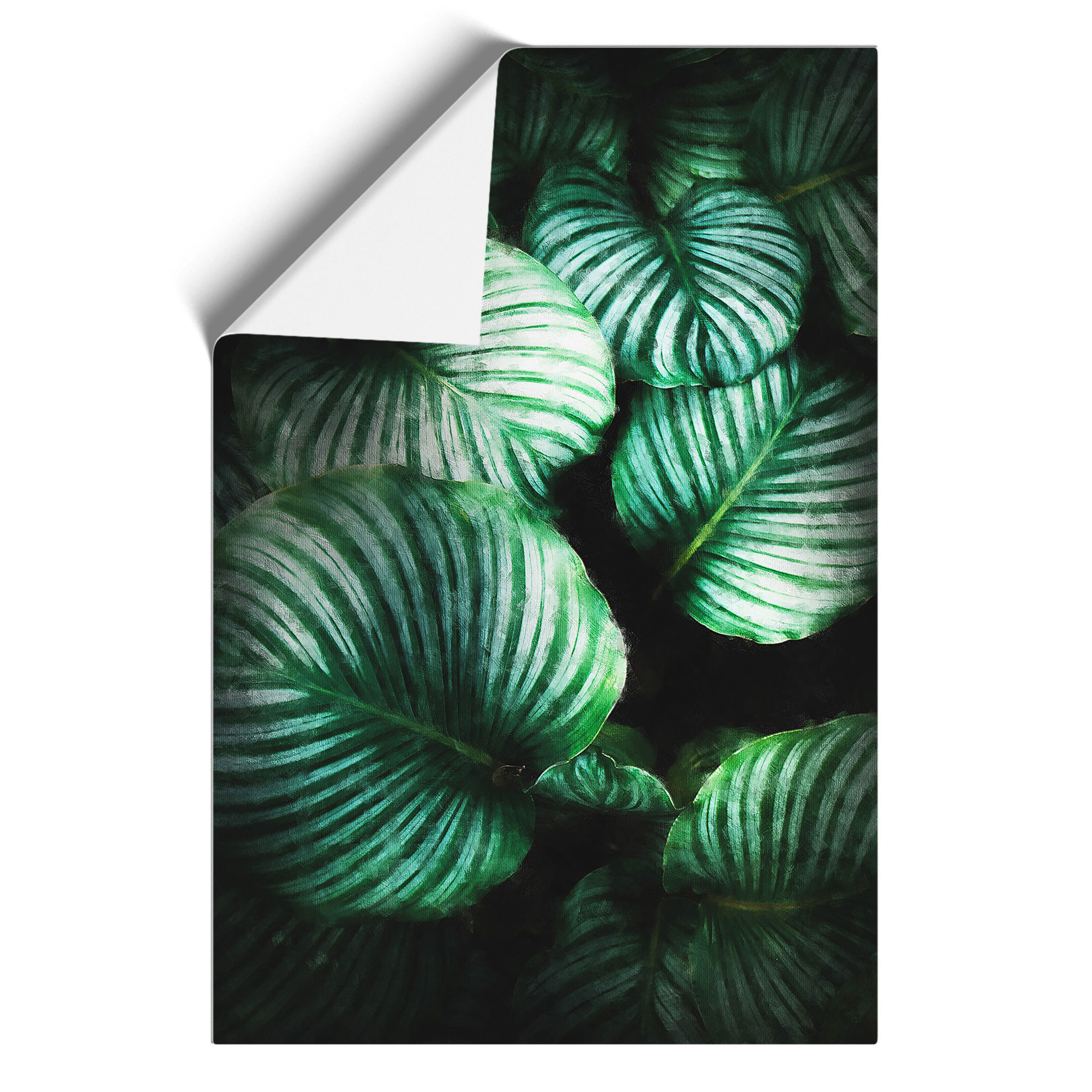 Gathered Green Plant Leaves Framed Canvas Wall Art Print Poster Picture - Picture 9 of 9