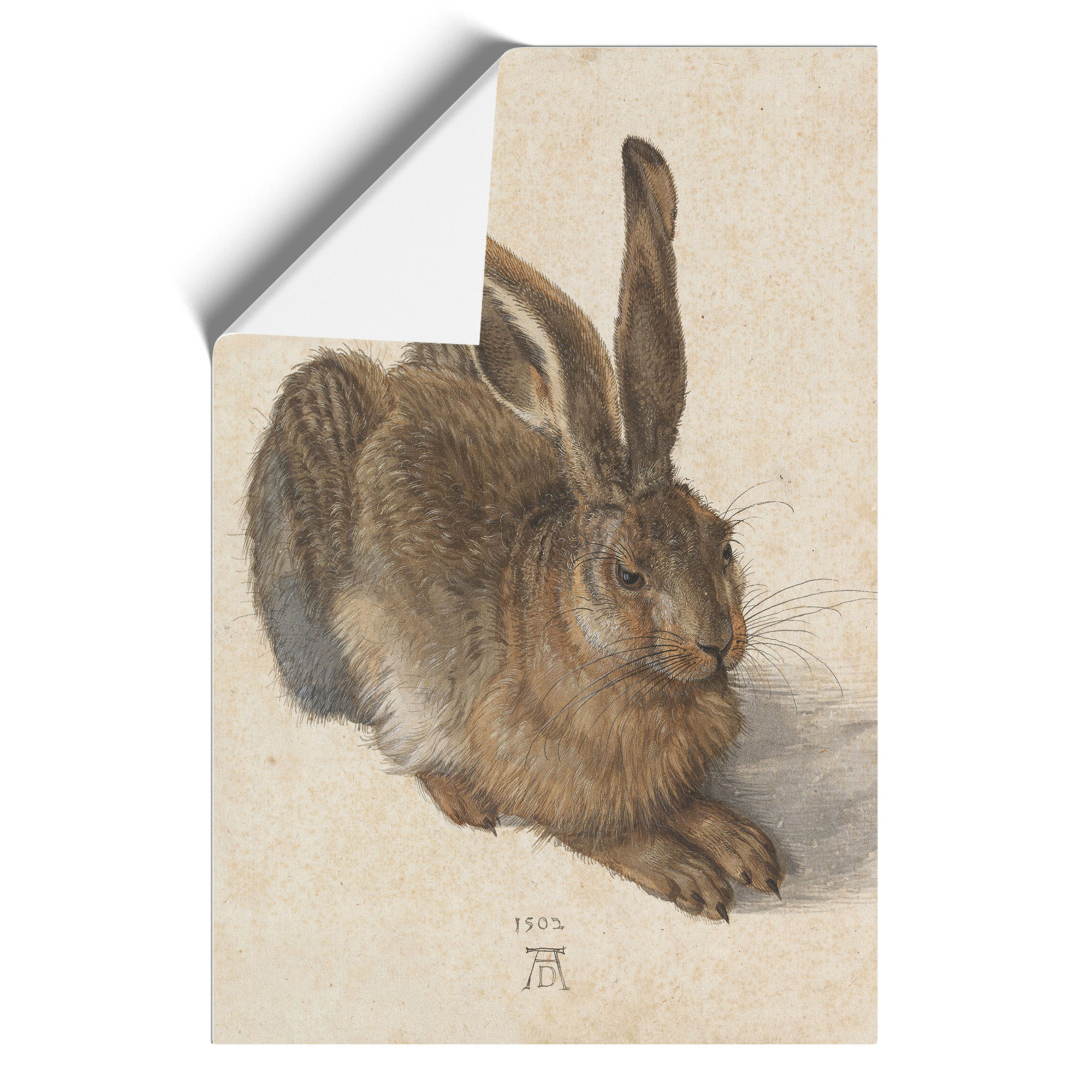 Hare By Albrecht Durer Framed Canvas Wall Art Print Poster Picture, Home Decor - Bild 9 von 9