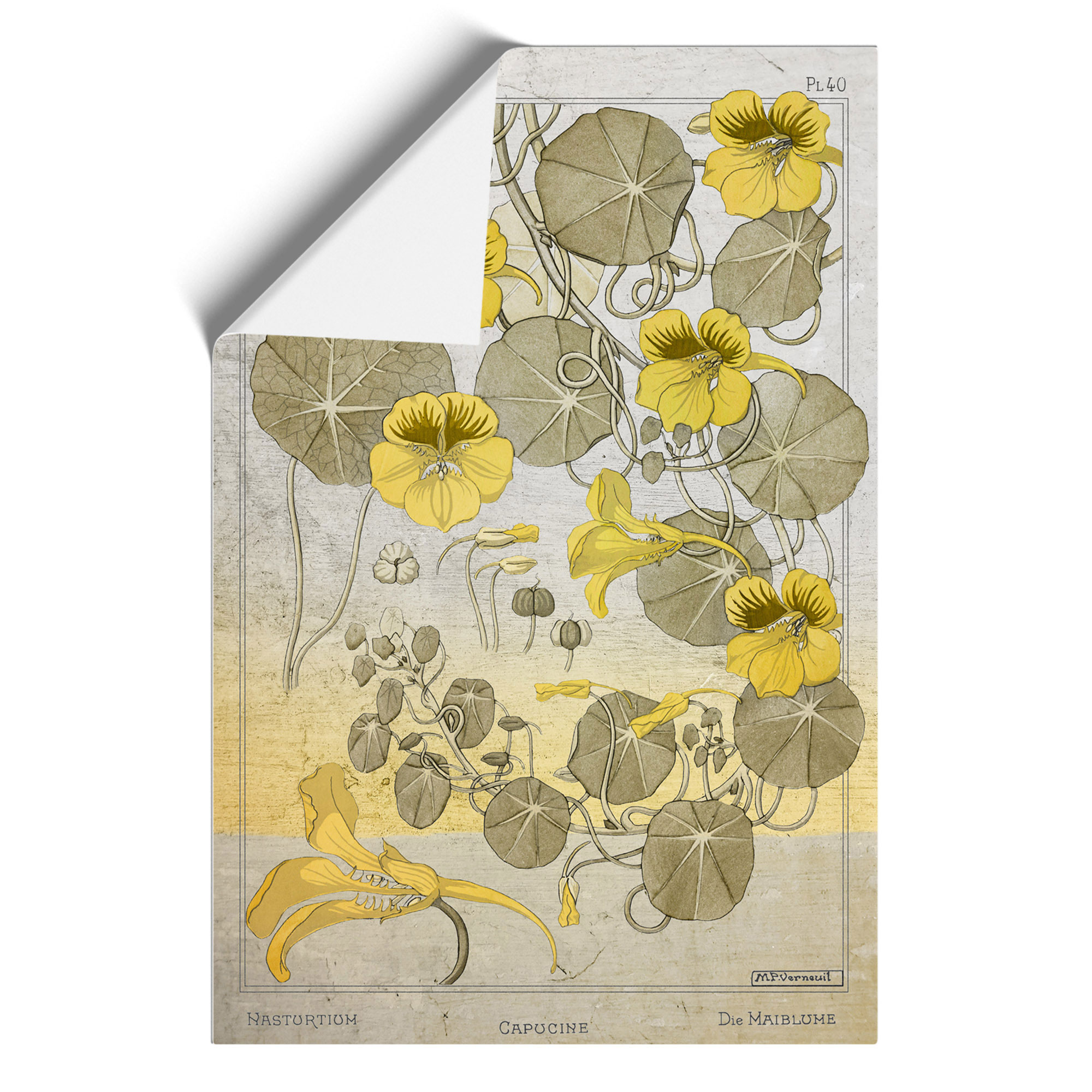 Vintage Floral Sketch Wall Art Print Framed Canvas Picture Poster Decor