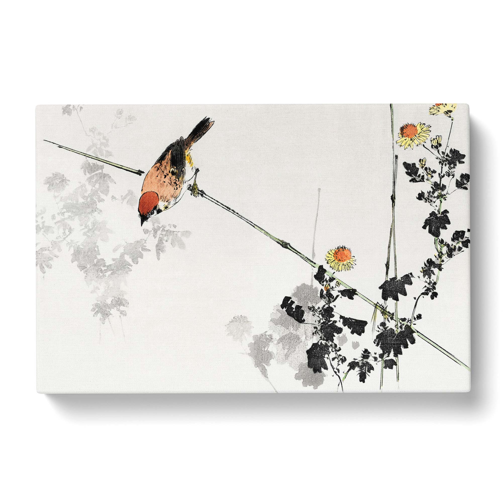 Japanese Swallow Bird by Watanabe Seitei Canvas Print Wall Art Picture ...