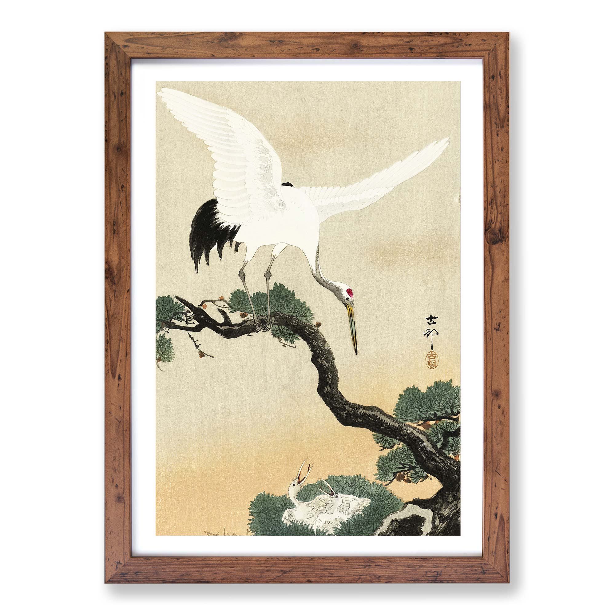 Japanese Crane Birds Flowers Asian Ohara Koson Wall Art Framed Picture ...