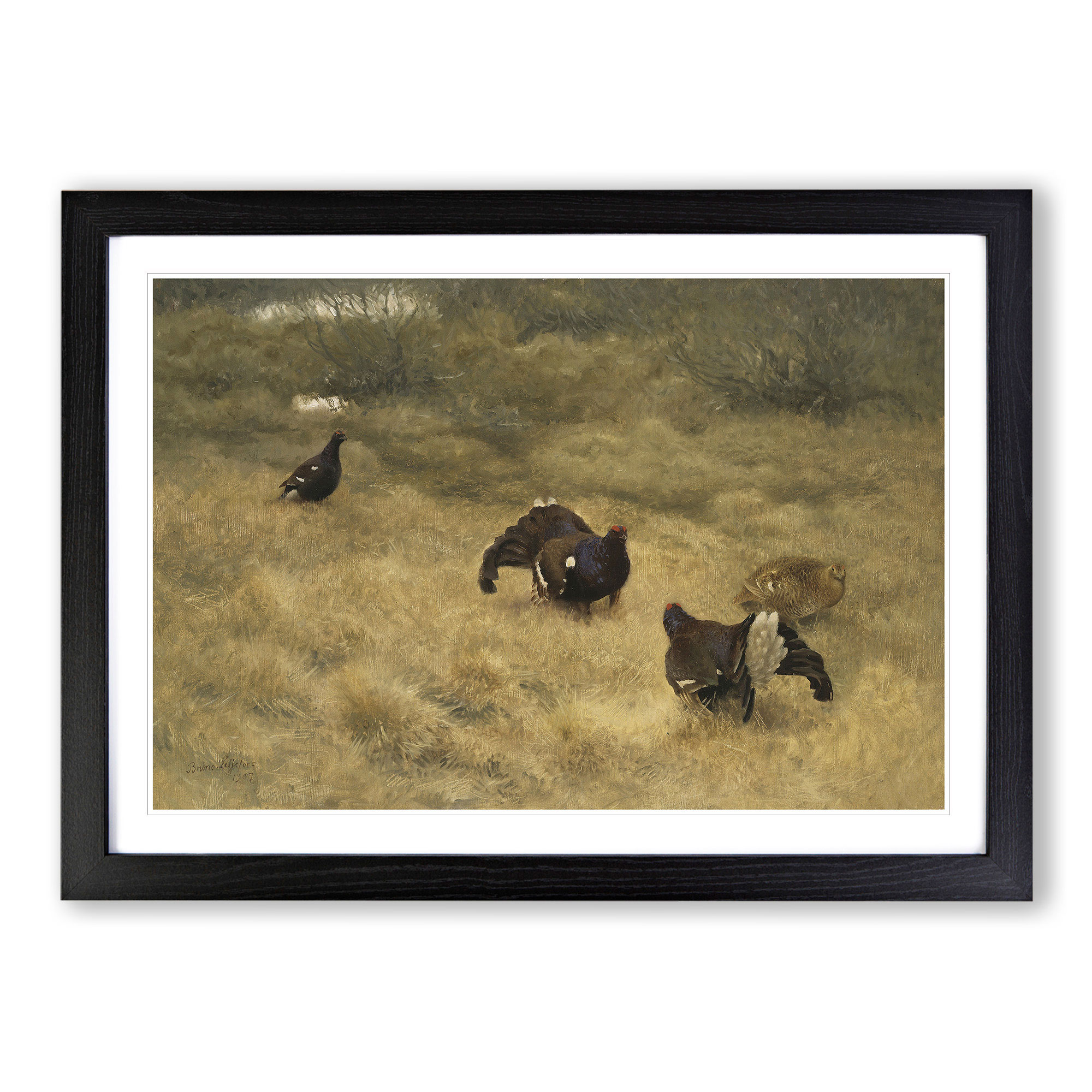 Black Grouse von Liljefors gerahmte Wandkunst Malerei Poster Druck Leinwandbild - Bild 6 von 9