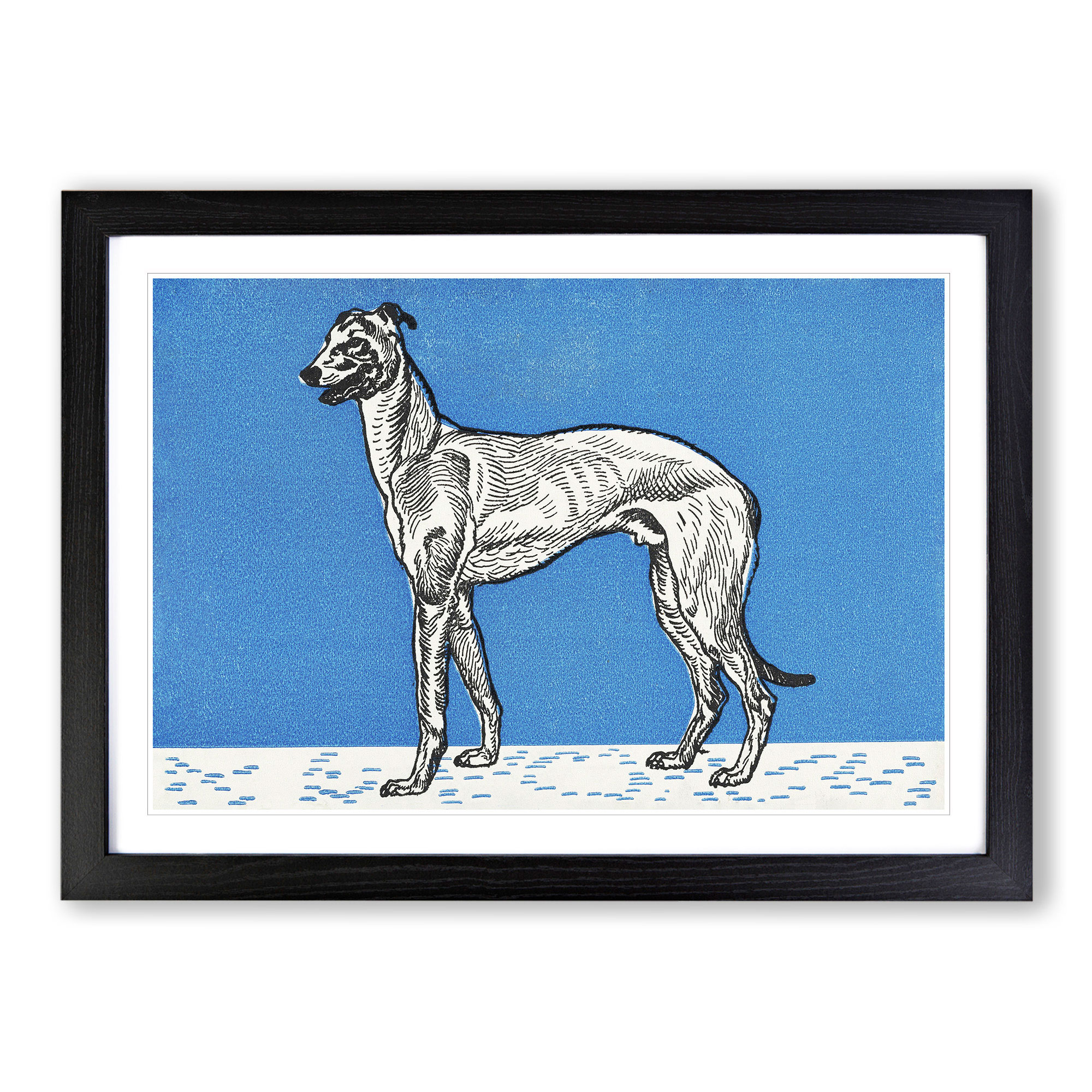 Greyhound Vol.1 By Moriz Jung Wall Art Print Framed Canvas Picture Poster Decor - Picture 6 of 9