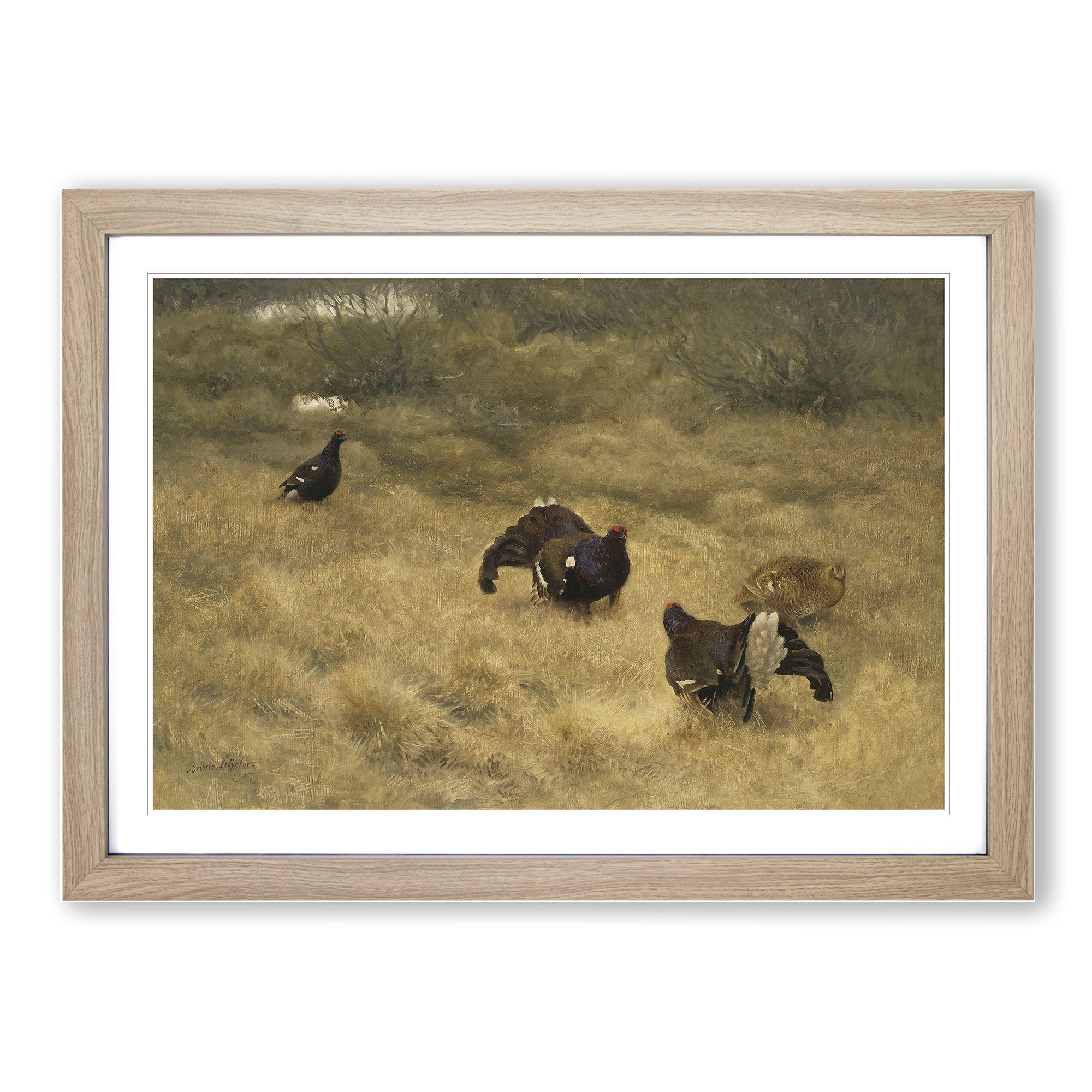 Black Grouse von Liljefors gerahmte Wandkunst Malerei Poster Druck Leinwandbild - Bild 7 von 9