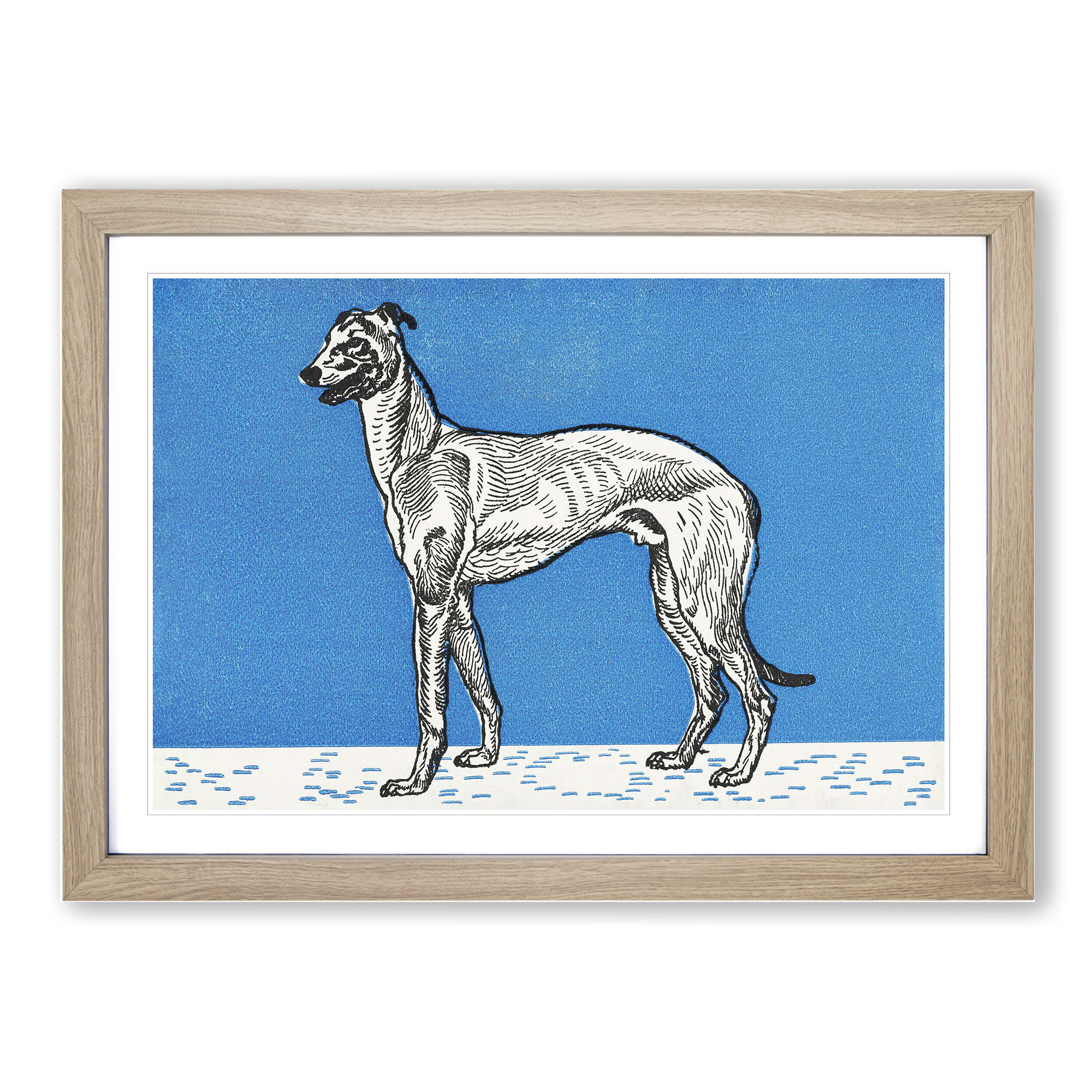 Greyhound Vol.1 By Moriz Jung Wall Art Print Framed Canvas Picture Poster Decor - Picture 7 of 9