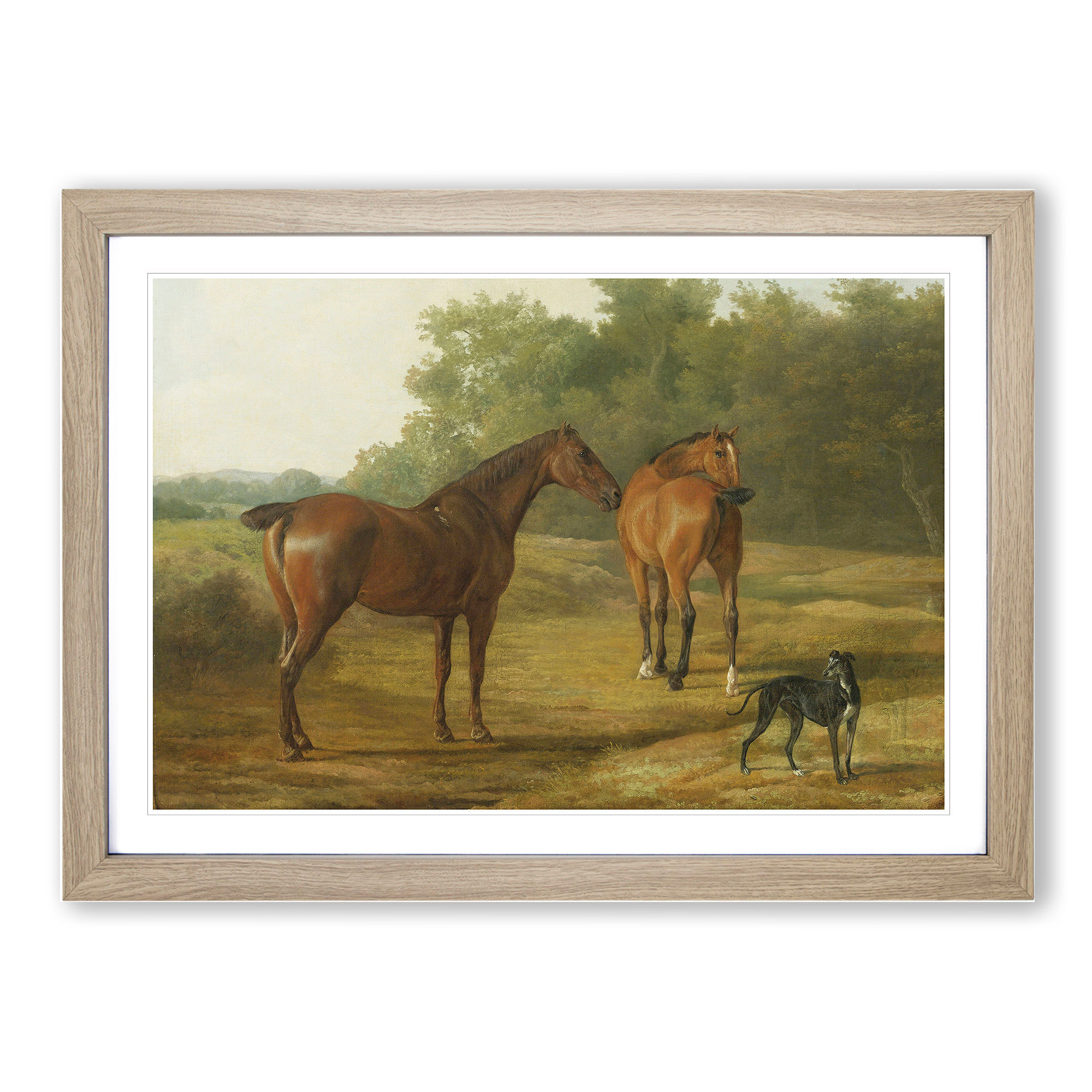 Horses And Hound By JacquesLaurent Agasse Framed Wall Art Print Large Picture eBay