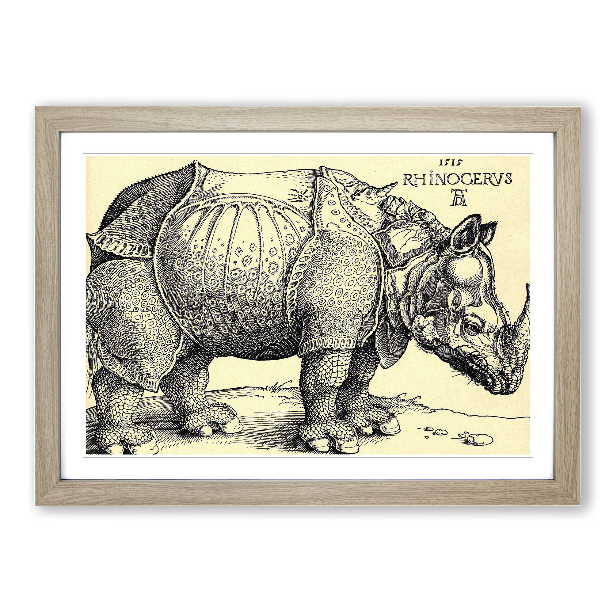 Rhinoceros By Albrecht Durer Wall Art Print Framed Canvas Picture ...