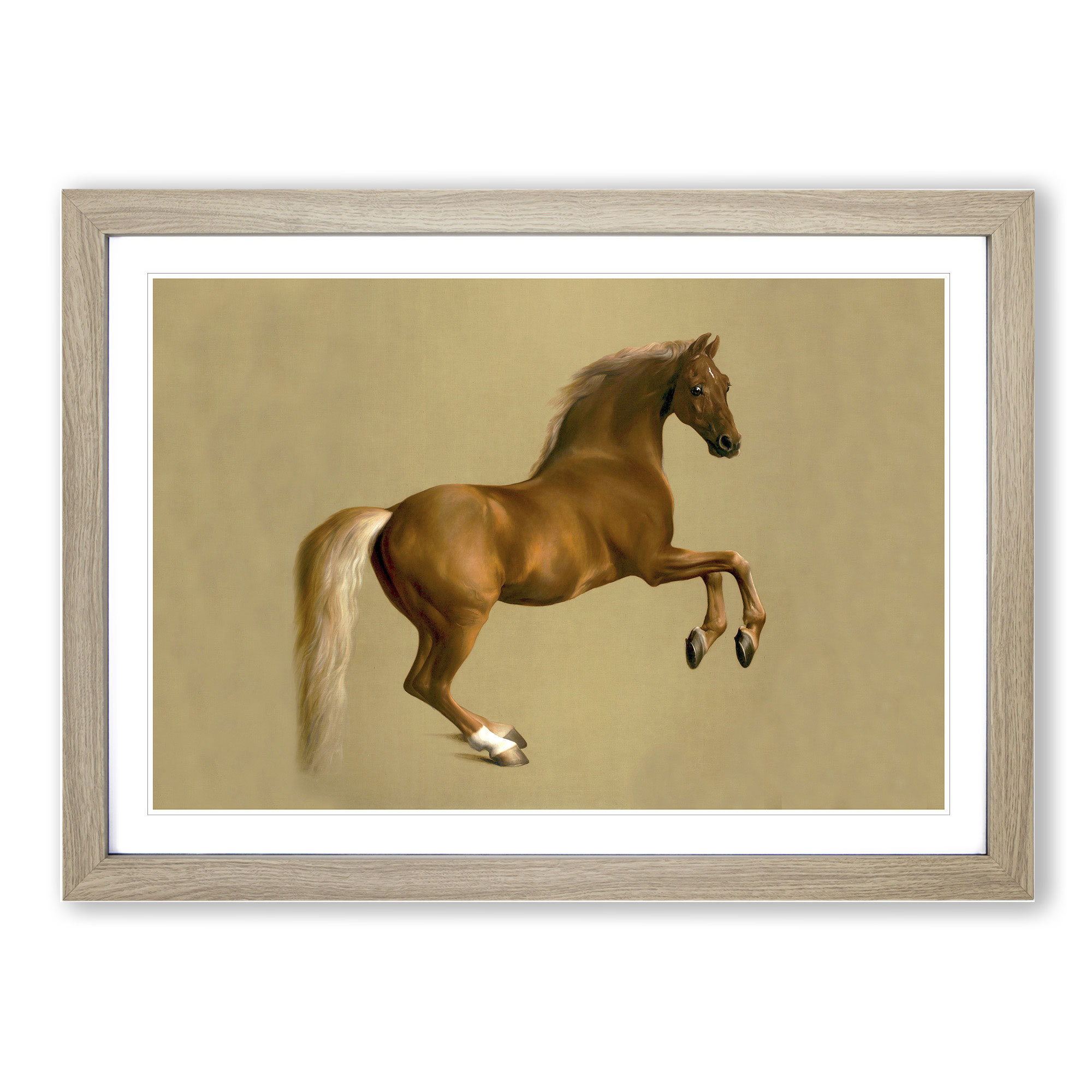 Whistlejacket By George Stubbs Wall Art Print Framed Canvas Picture ...