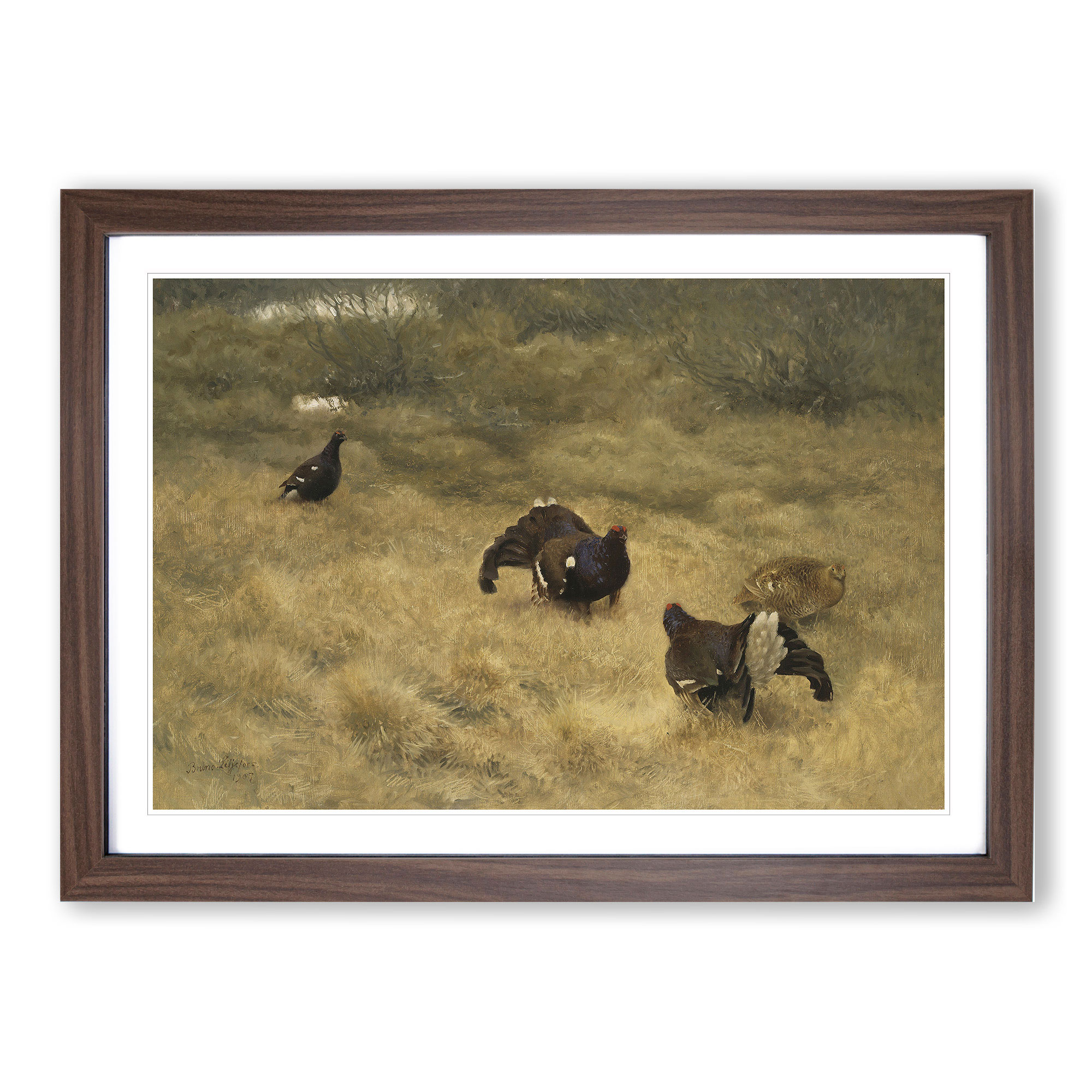 Black Grouse von Liljefors gerahmte Wandkunst Malerei Poster Druck Leinwandbild - Bild 8 von 9