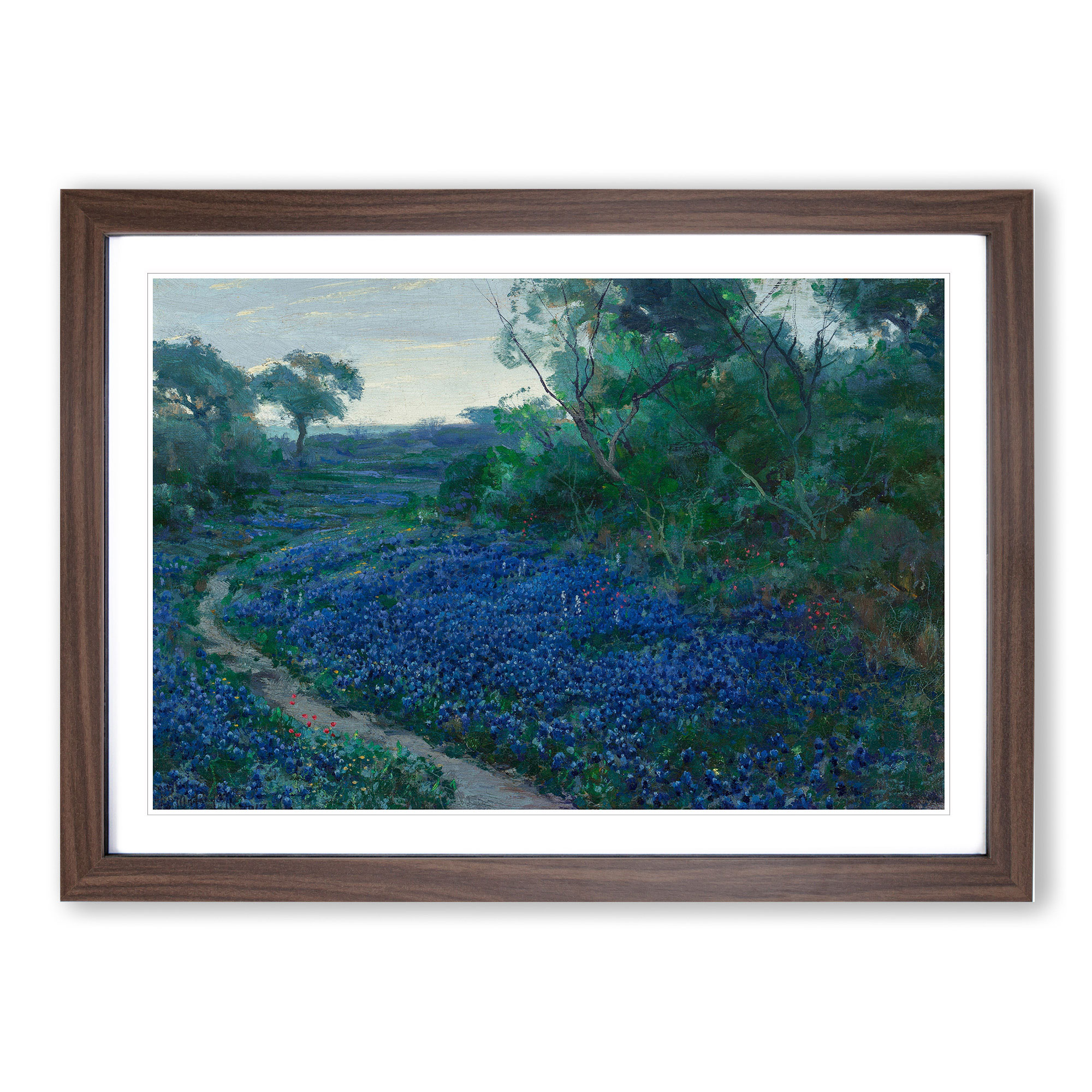 bluebonnet wall art