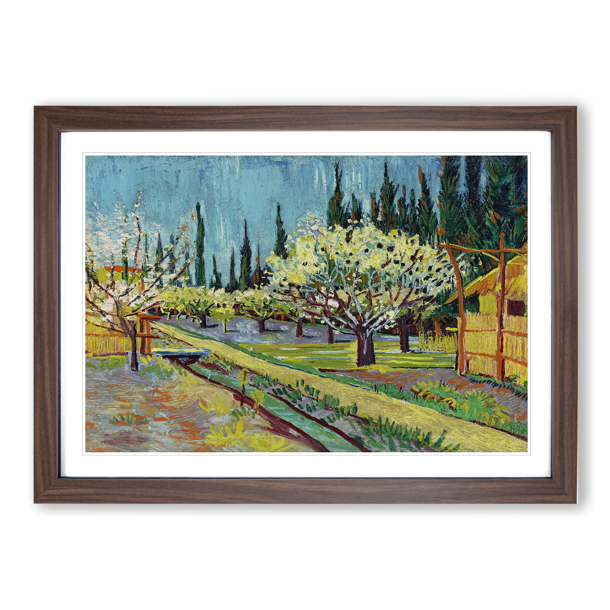 Orchard Bordered By Cypresses By Vincent Van Gogh Framed Wall Art Print ...