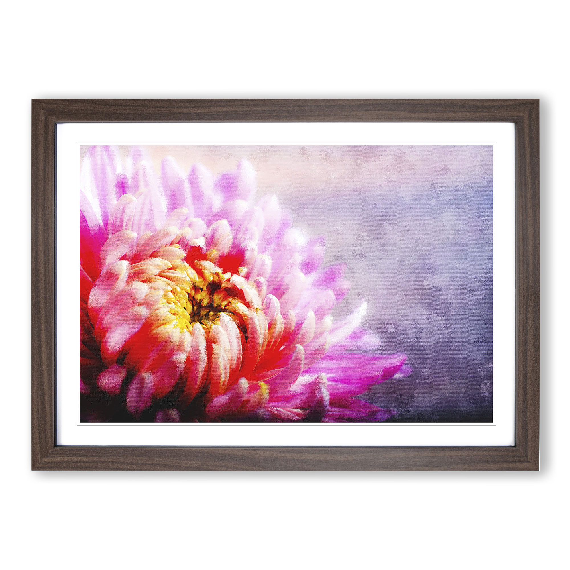 Pink Chrysanthemum Flower Wall Art Print Framed Canvas Picture Poster Decor eBay