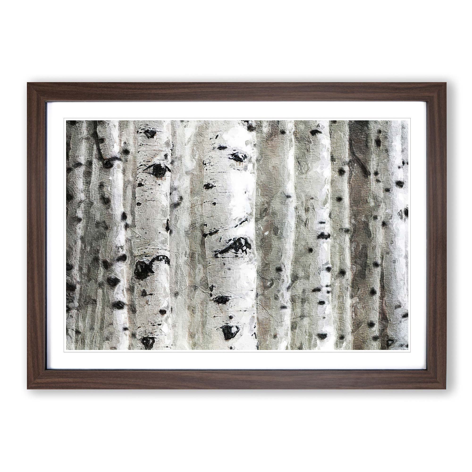 Silver Birch Tree Forest Landscape Scenery Nature Wall Art Print Framed
