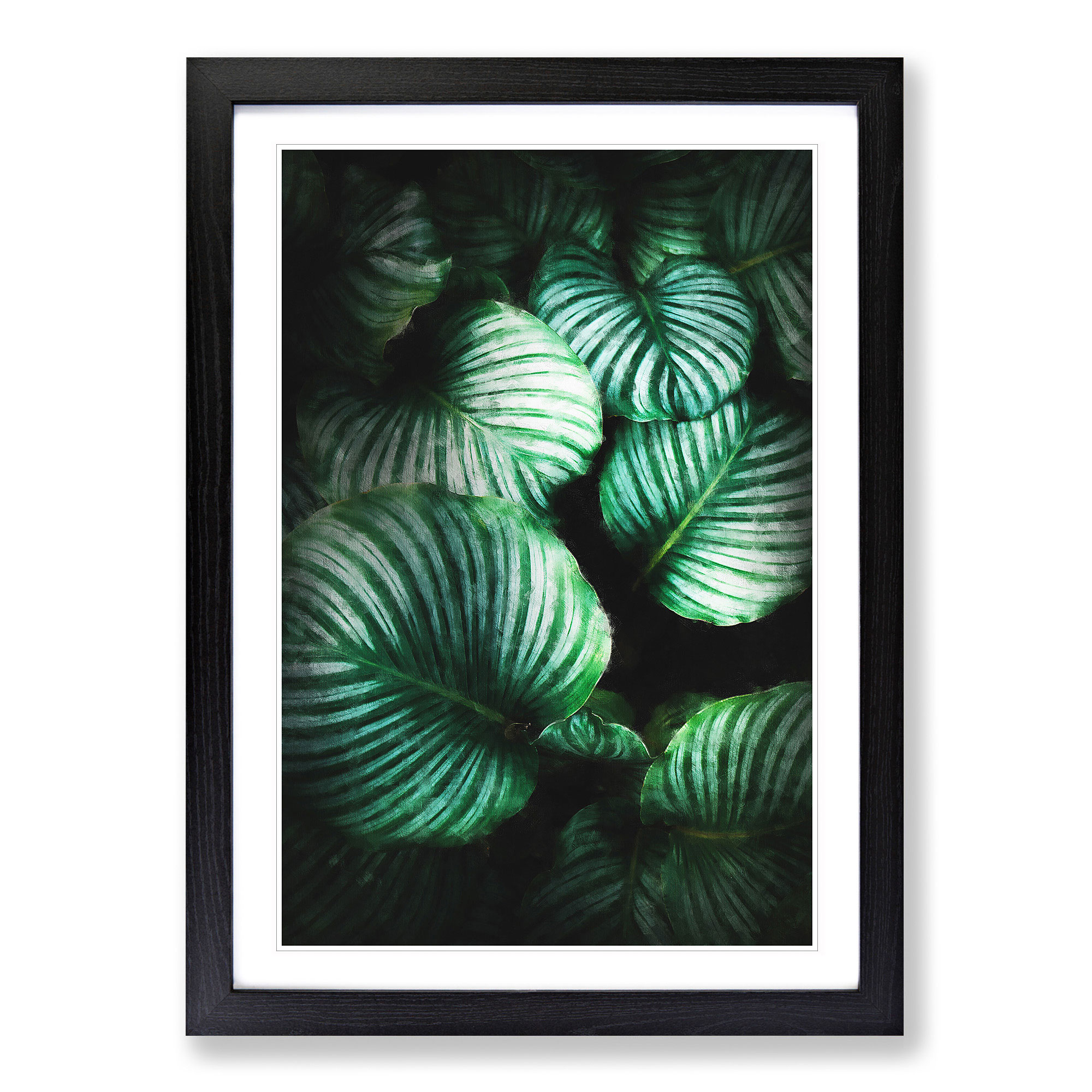 Gathered Green Plant Leaves Framed Canvas Wall Art Print Poster Picture - Picture 6 of 9