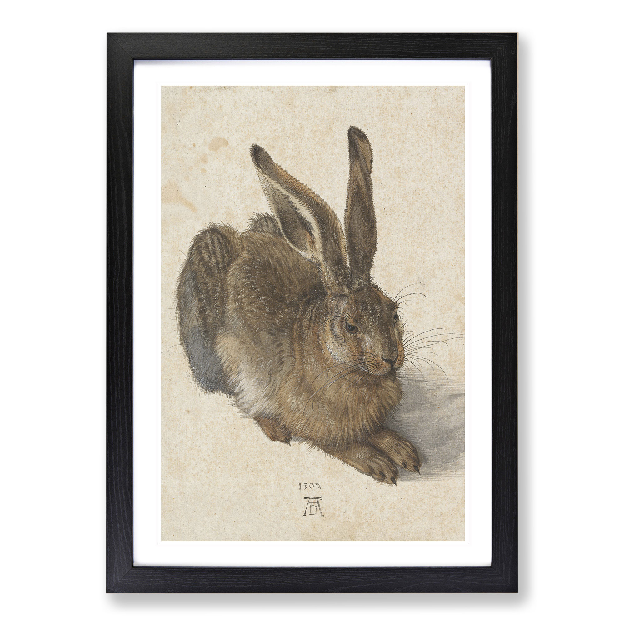 Hare By Albrecht Durer Framed Canvas Wall Art Print Poster Picture, Home Decor - Bild 6 von 9