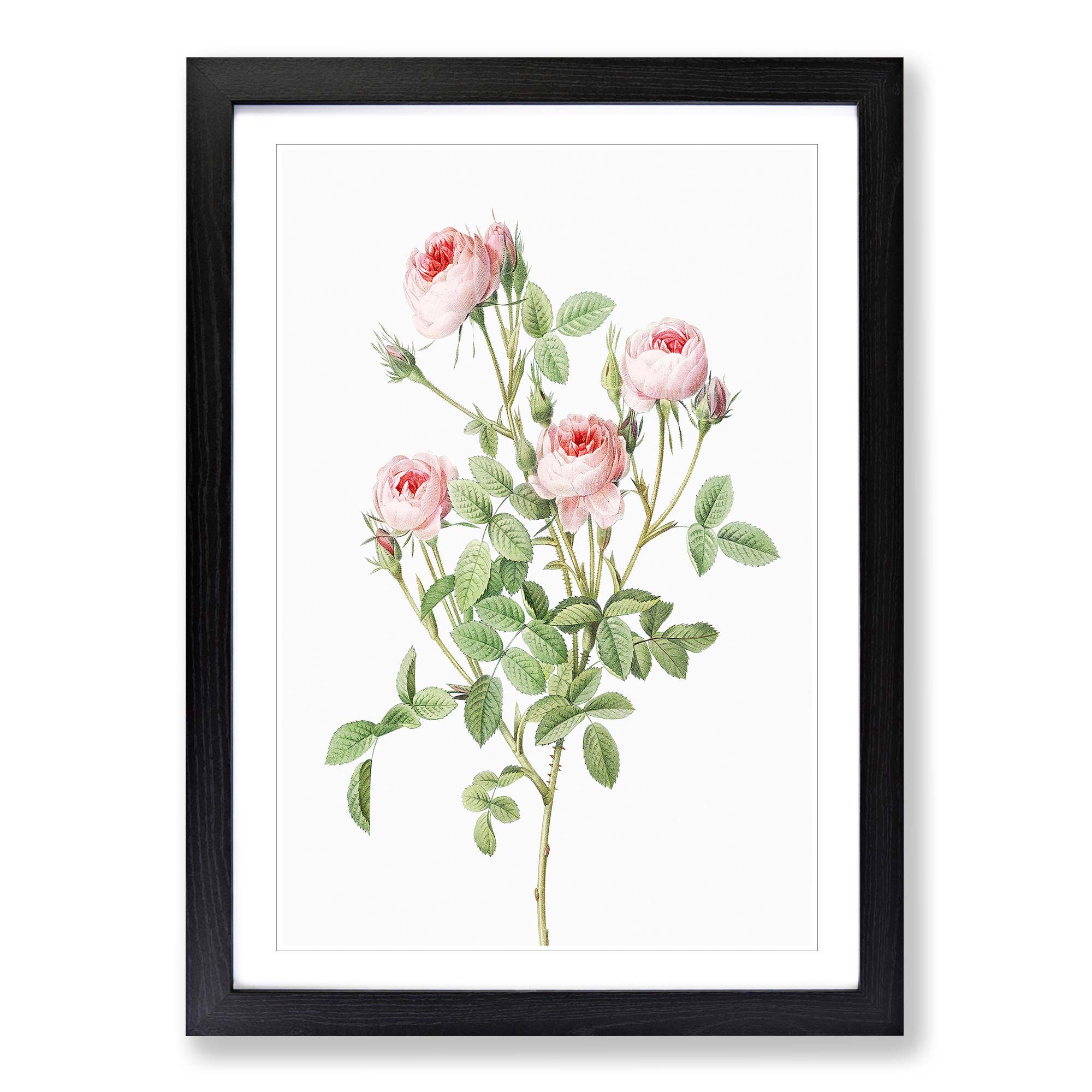 Framed Roses Pink Roses Framed Wall Art Print Large Picture Painting Poster Home ...
