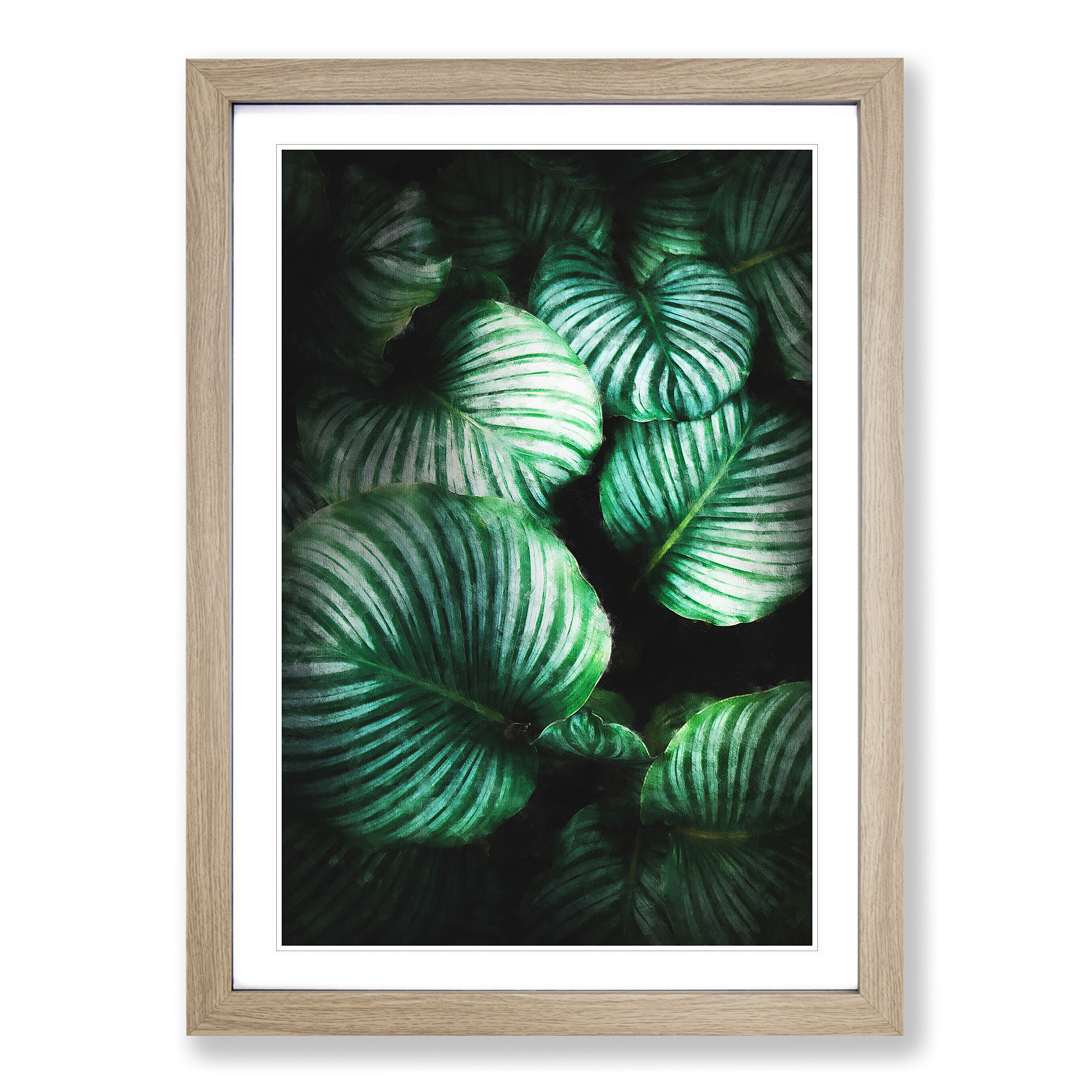 Gathered Green Plant Leaves Framed Canvas Wall Art Print Poster Picture - Picture 7 of 9