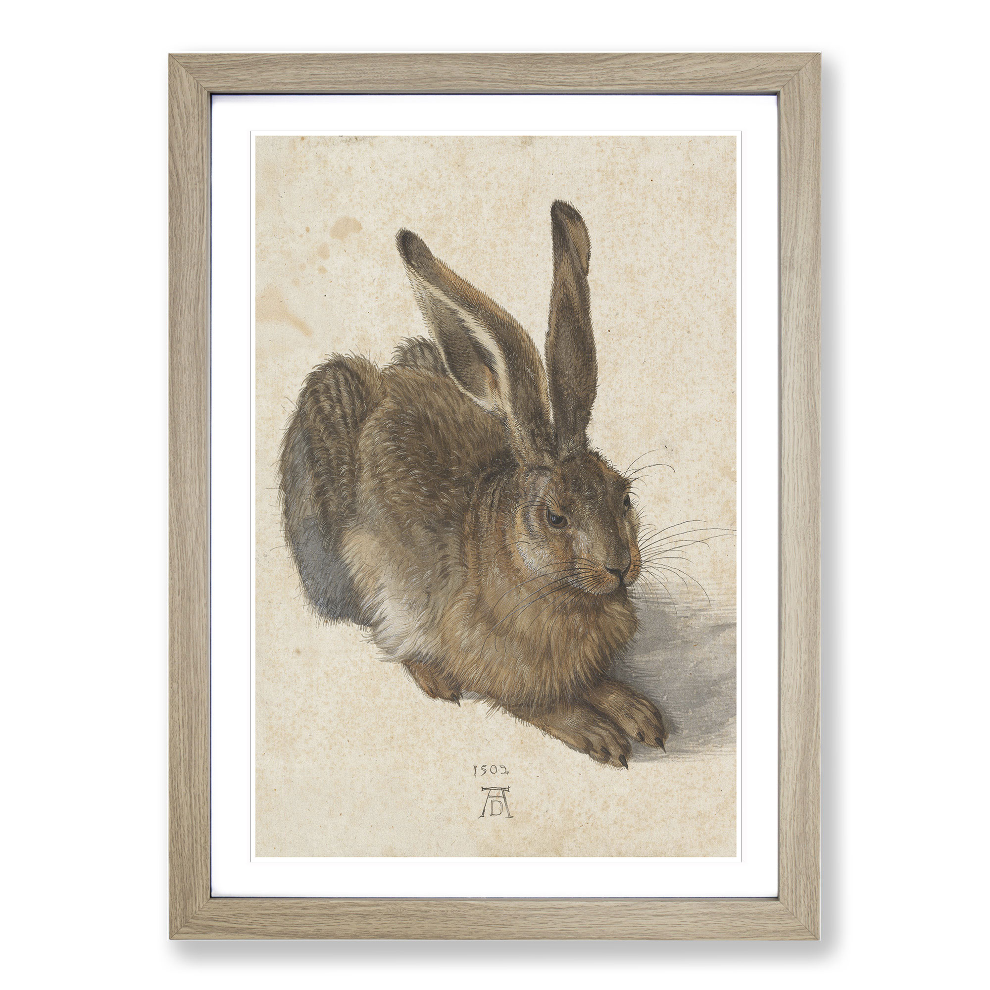 Hare By Albrecht Durer Framed Canvas Wall Art Print Poster Picture, Home Decor - Bild 7 von 9