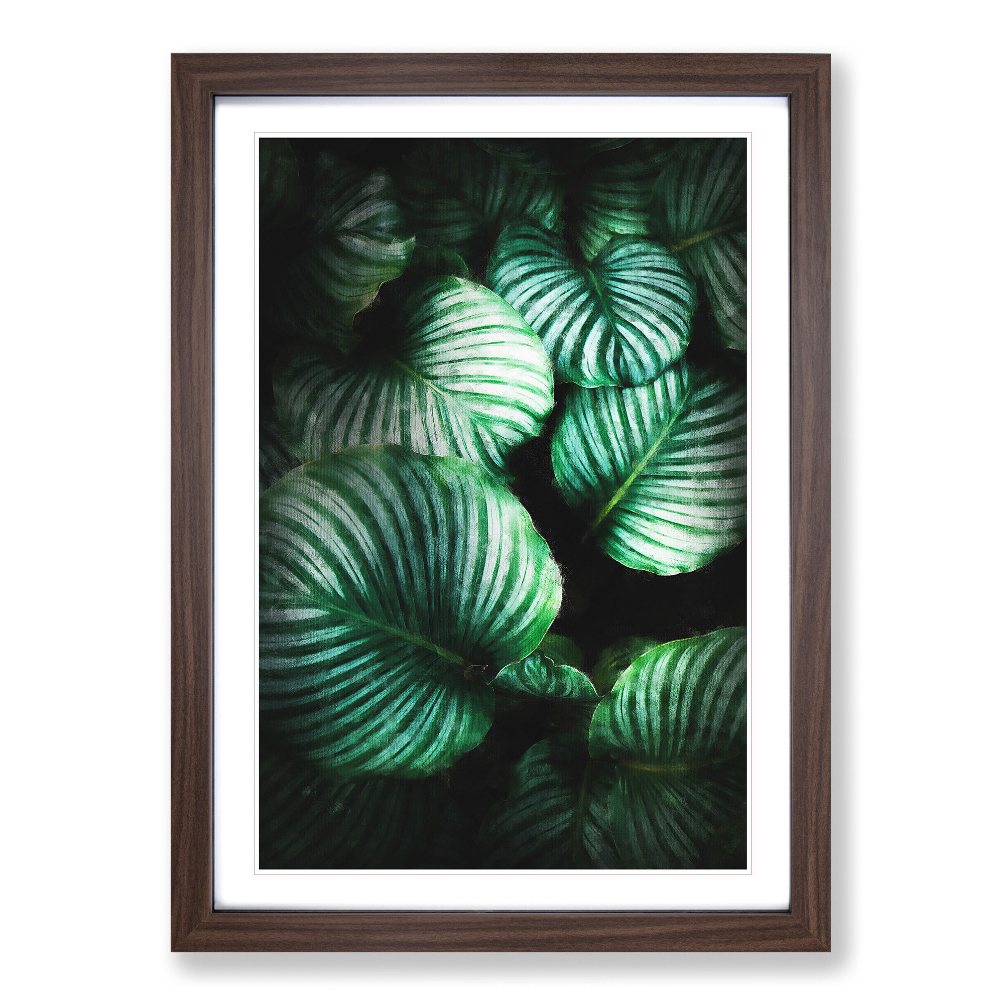 Gathered Green Plant Leaves Framed Canvas Wall Art Print Poster Picture - Picture 8 of 9