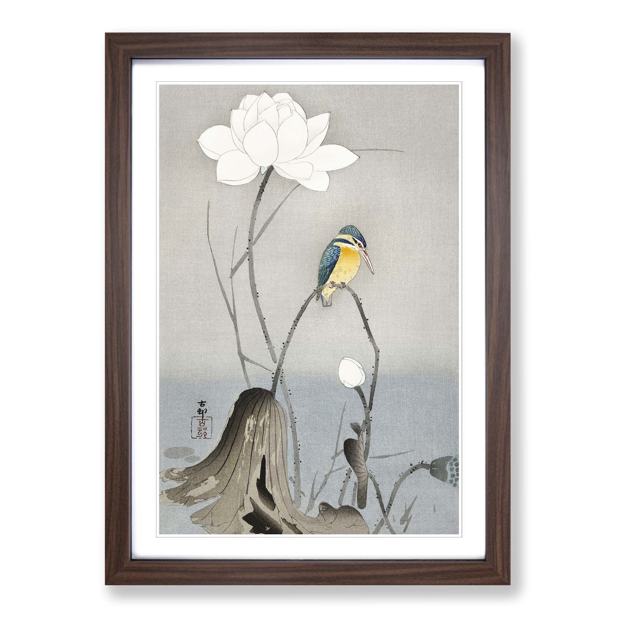 Kingfisher with Lotus Flower Ohara Koson Framed Wall Art Canvas Print ...