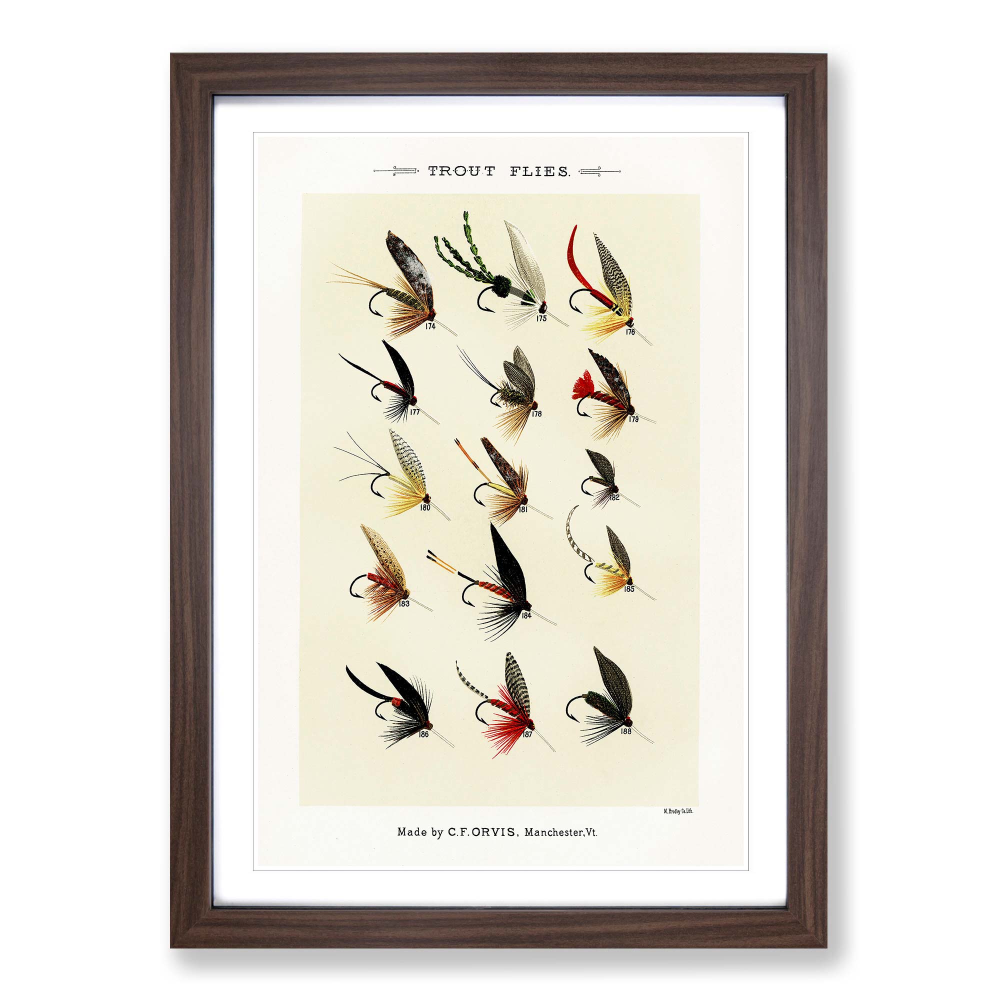 Trout Fishing Flies Version 1 Mary Orvis Marbury Wall Art Print Framed  Picture