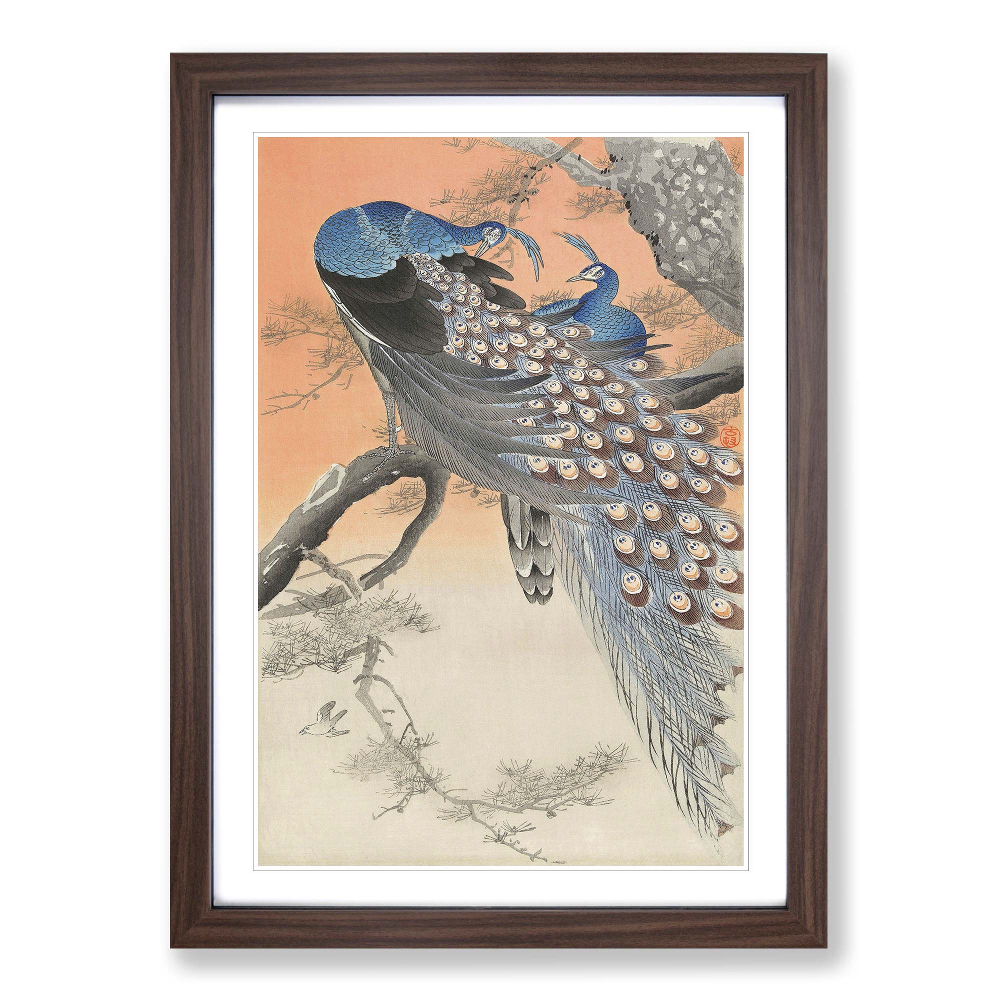 Two Peacocks Flowers Ohara Koson Framed Wall Art Print Picture Ready to ...